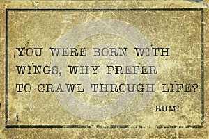 Why crawl Rumi