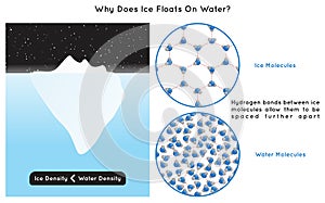 Why Does Ice Float on Water Infographic Diagram