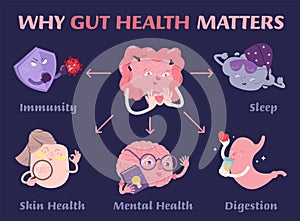 Why gut health matters. Scientific poster with characters. photo