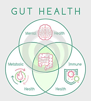Why gut health matters. Vertical poster. Medical infographic.