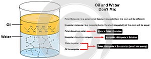 Why oil and water dont mix infographic diagram
