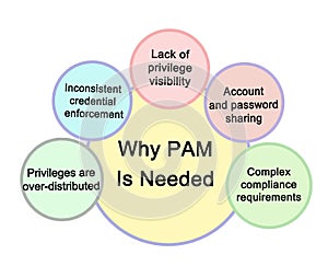 Why PAM IS Needed photo