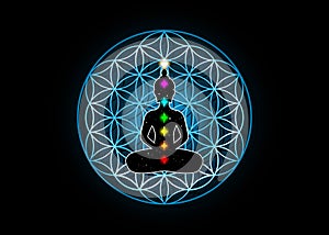 Sacred Geometry, flower of life and Buddha in a lotus position with colorful 7 chakras. Metatrons cube. Symbol of alchemy isolated photo