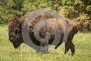 Wichita Mountains National Wildlife Refuge