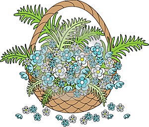 Wicker basket with beautiful blue flowers. Spring, the heyday of nature. Holiday card. Vector illustration