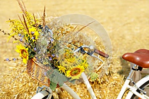 Wicker basket with a bouquet of wildflowers on the handlebars of a women`s bicycle on a blurred sunny background of a wheat field