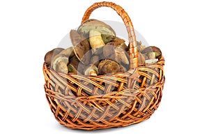 Wicker basket with cepe mushrooms