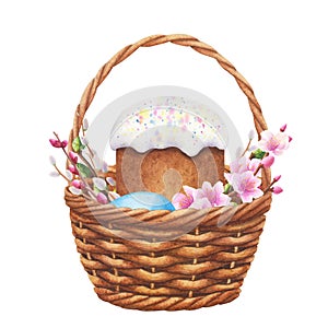 Wicker basket with Easter cake, eggs, branches and flowers. Hand drawn watercolor illustration. For design, cards