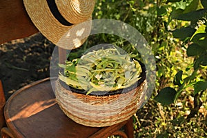 Wicker basket with fresh green beans and hat on wooden chair in garden