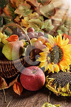 Wicker basket full of autumn fruits