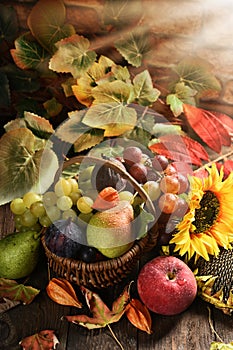 Wicker basket full of autumn fruits