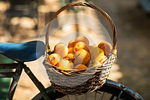 A wicker basket full of fresh orange fruits