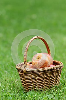 Wicker basket full of gala apples