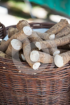 A wicker basket full of horseradish roots on farmer's market