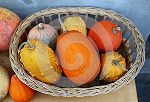 Wicker basket full of pumpkin