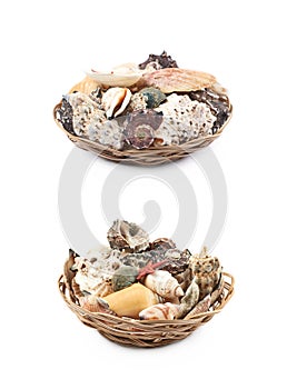 Wicker basket full of sea shells
