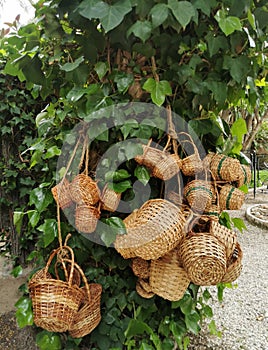 Wicker basket hanged on the old tree trunk