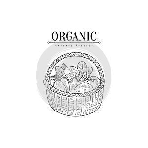 Wicker Basket With Organic Vegetables Hand Drawn Realistic Sketch