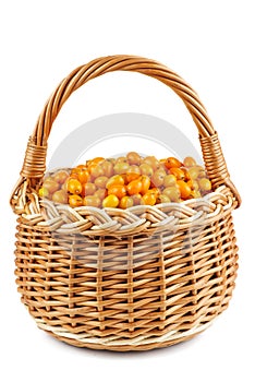 Wicker basket with sea buckthorn berries isolated on white background photo