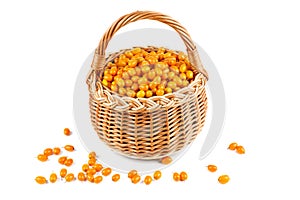 Wicker basket with sea buckthorn berries isolated on white background