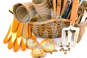 Wicker basket with seeds