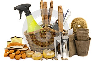 Wicker basket with seeds, gloves, garden rakes