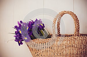 Wicker basket with spring flowers