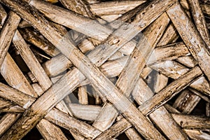 Wicker basket texture, visible dirt.