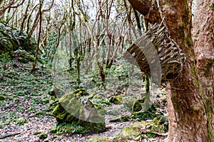 Wicker basket trash can