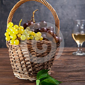 Wicker basket with various grapes: red, white and black berries on the dark wooden table with glass of white wine in the backgroun