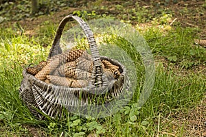 Wicker busket