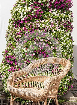 wicker chair on a flower wall background