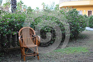 Wicker chair on green grass in  garden courtyard. resting place in  summer park