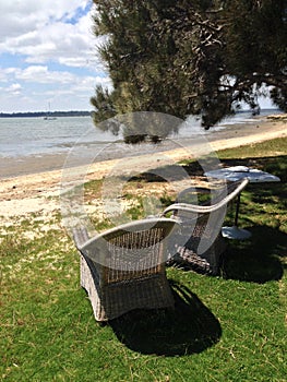 Wicker chairs under tree in front of beach