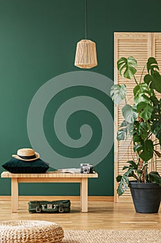 Wicker chandelier above wooden bench with emerald green pillow and hat, copy space on the empty green wall