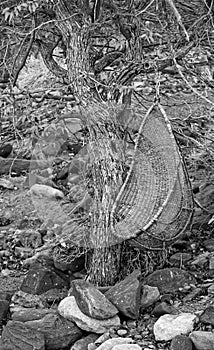 Wicker circle chair