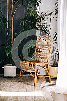 Wicker eco chair in a home garden in sunny day