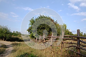 Wicker fence