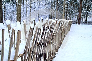 Wicker fence covered with snow