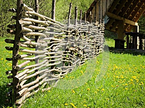 Wicker fence in green grass background.