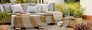 Wicker garden furniture with grey pillows in beautif