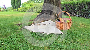 Wicker picnic basket with white and black grapes and wine on green grass