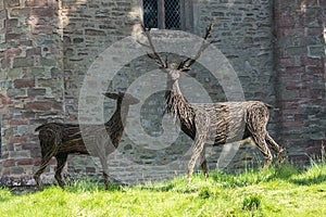 Wicker red Stags by Scone Castle