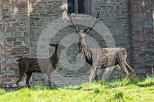 Wicker red Stags by Scone Castle photo