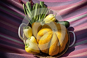 Wicker rustic basket with seasonal vegetables in a natural environment