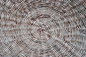 Wickerwork from dry tree