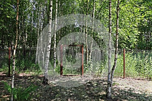 Wicket in mesh fence in birch forest, there is no passage, on door of castle, without people