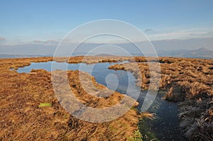 Wicklow mountains national park