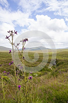 Wicklow Mountains National Park in Ireland