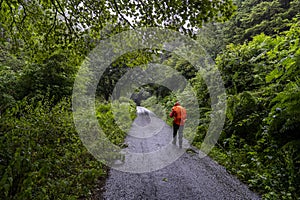 Wicklow way in a rainnig day with a girl in the paw